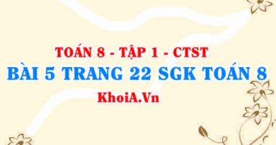 Bài 5 trang 22 SGK Toán 8 Tập 1 Chân trời sáng tạo